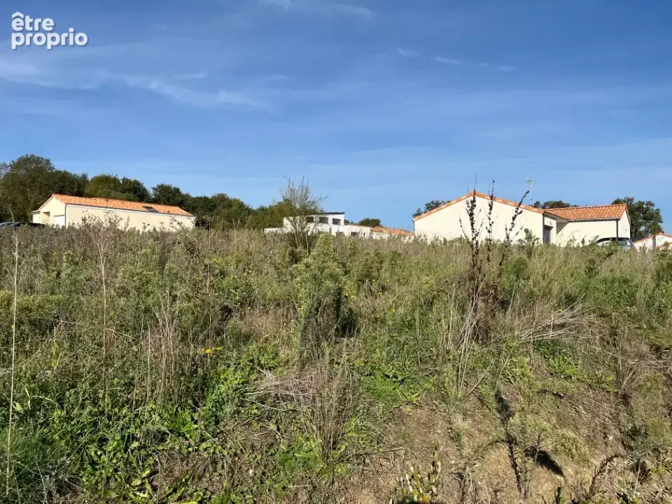 Terrain à CHAMPTOCEAUX