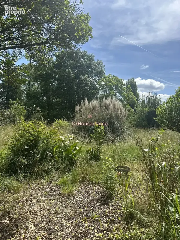 Terrain à CASTELNAU-DE-MEDOC