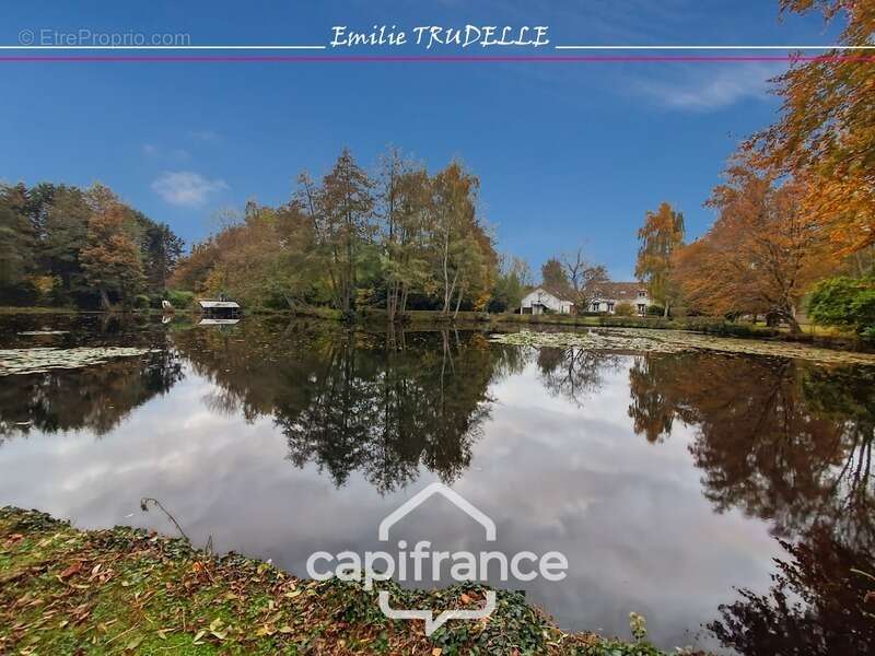 Maison à vendre 6 pièces 138m² TORCE EN VALLEE (72) - 3/4 chambres + appartement, Etang, bassin sur parc paysagé de 8500m² - photo 26