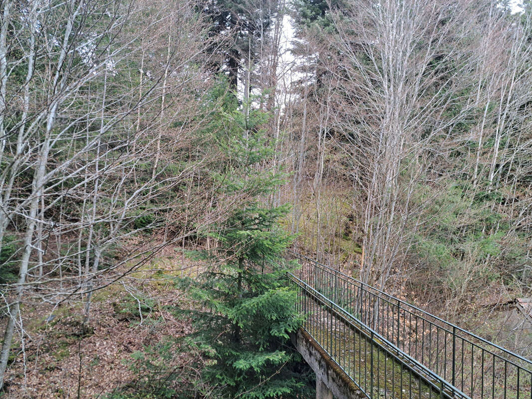 Maison à LE CHAMBON-SUR-LIGNON