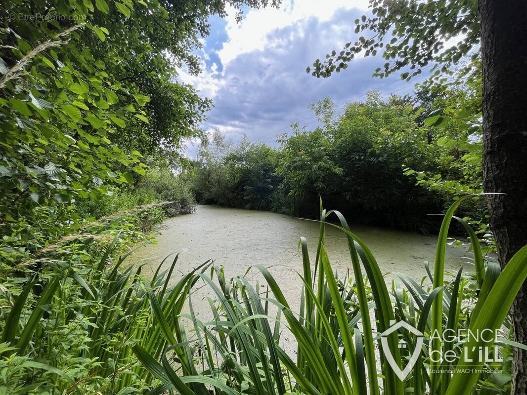 Terrain à SELESTAT