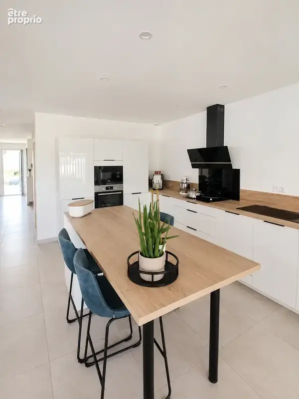 Villa PP 3 ch. 105 m2 garage jardin Bize Minervois - photo 6