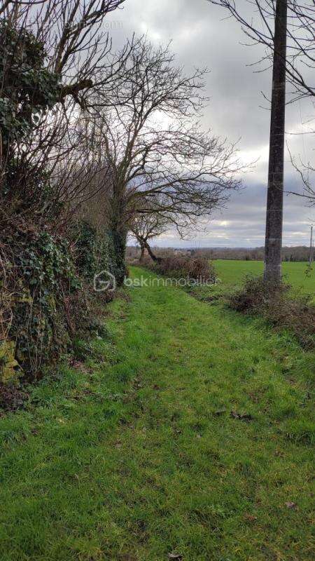 Terrain à AZAY-LE-BRULE