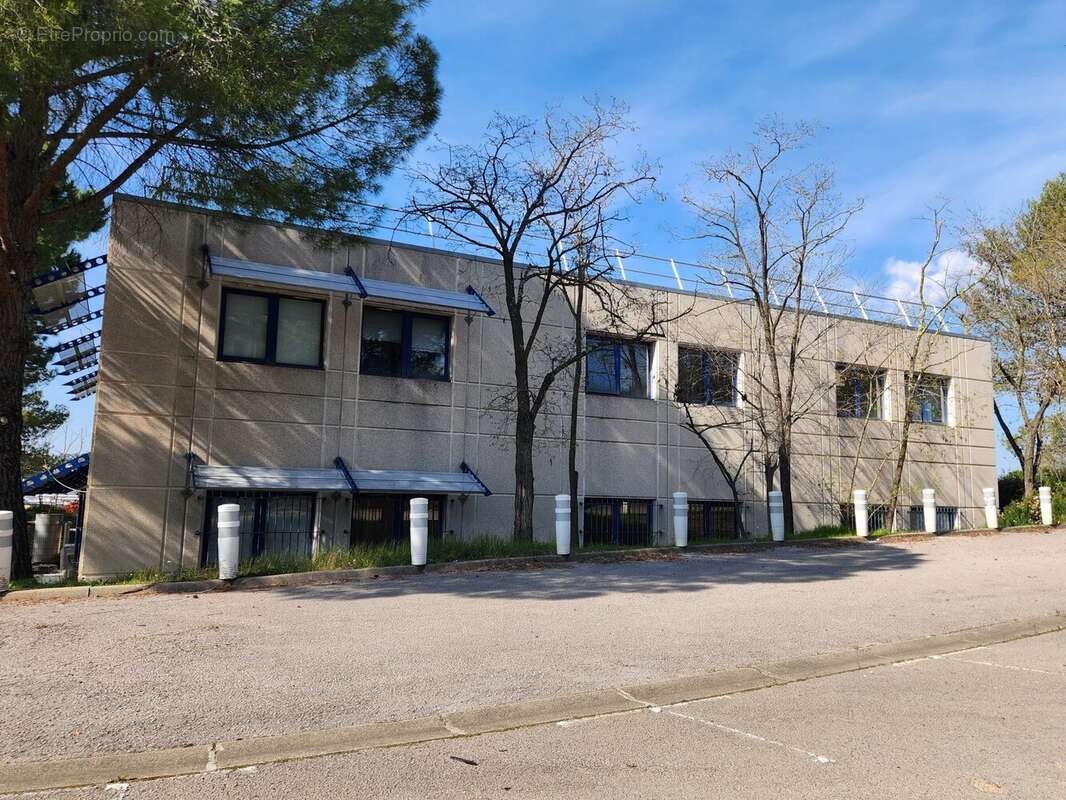 Commerce à MONTPELLIER