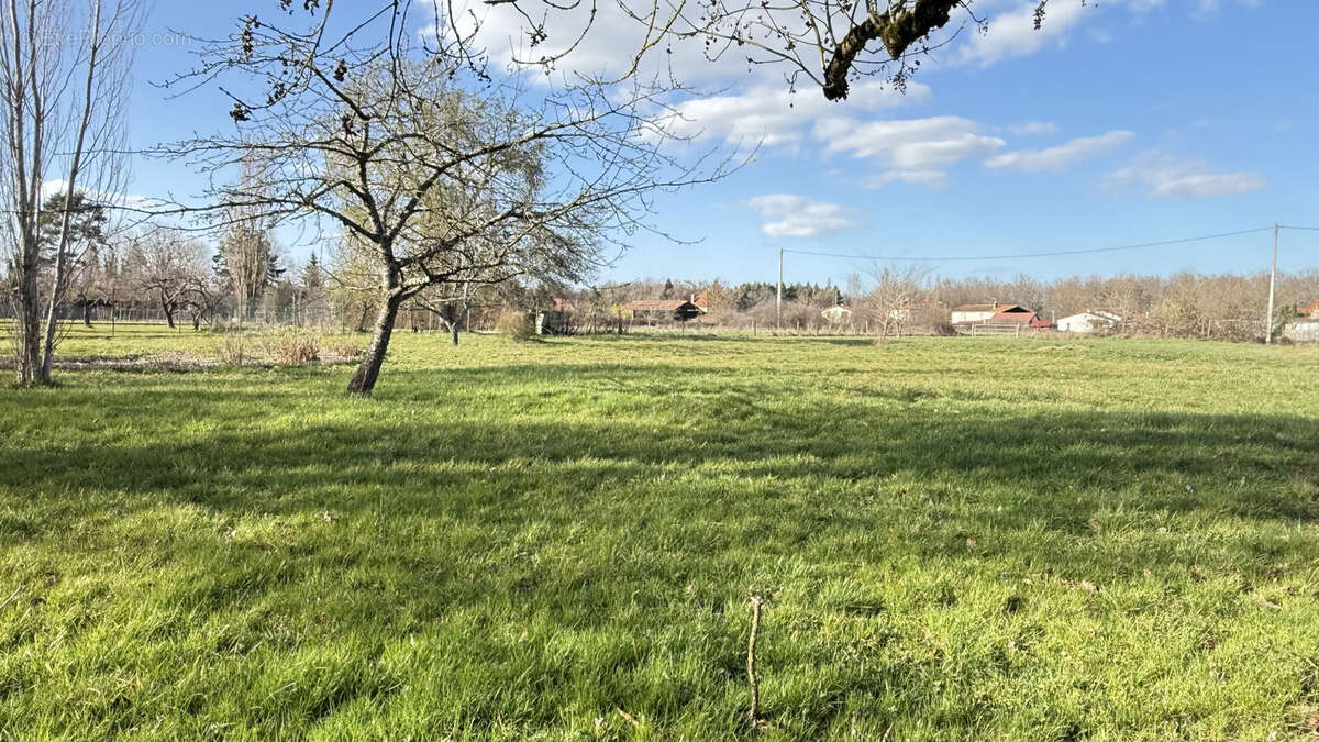 Maison de campagne familiale à rénover entièrement avec grand terrain et dépendances - photo 25