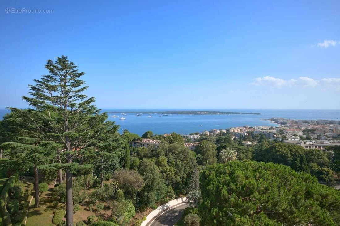 Appartement 4p - cannes californie - grande terrasse - vue mer panoramique - photo 12