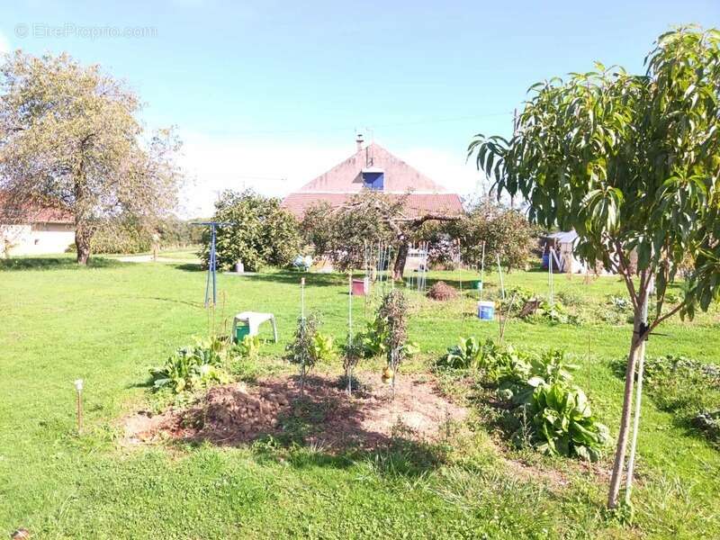  Maison familiale de plain-pied avec grand jardin – Les Essards-Taignevaux (39120) - photo 2