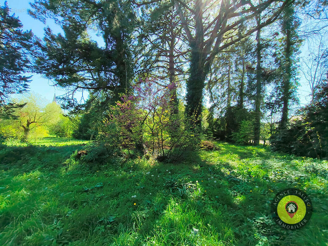 Maison à LE MONT-SAINT-MICHEL