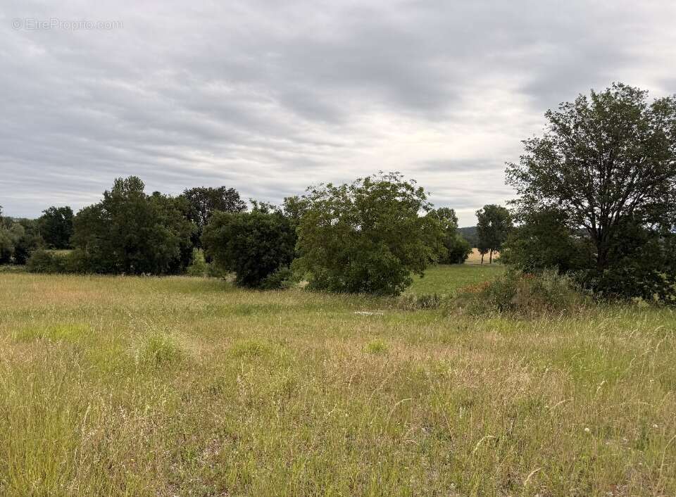 Terrain 984 m² à Blan  - photo 2