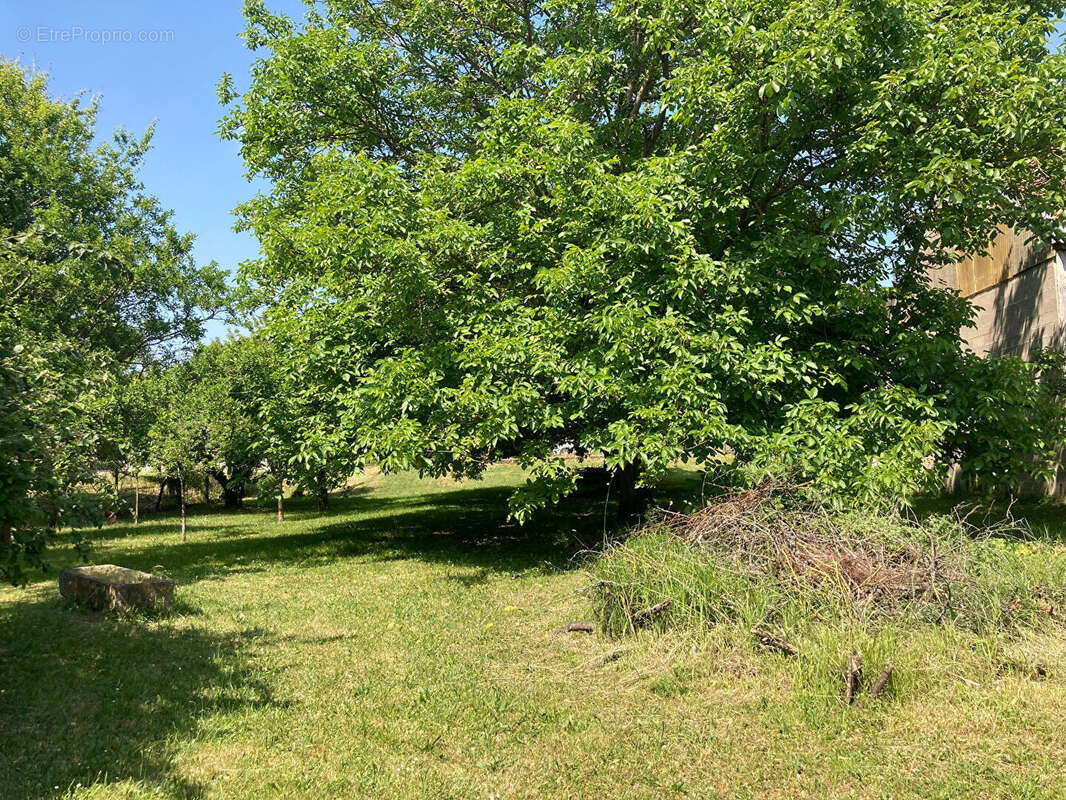En exclusivite superbe terrain de plus de 2700m² - photo 3
