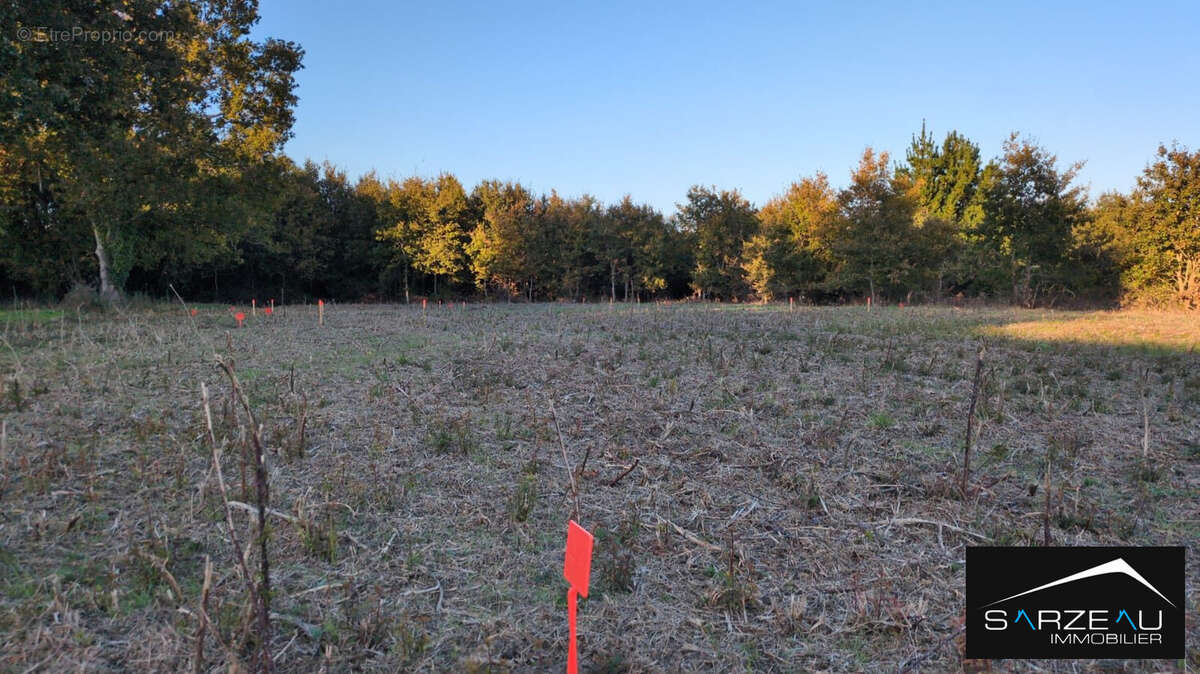 Terrain à LE TOUR-DU-PARC