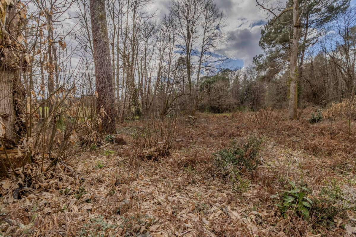 Terrain à CARSAC-AILLAC