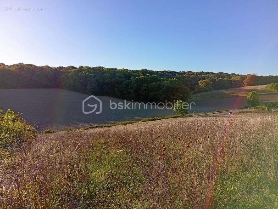 Terrain à SAINTE-GENEVIEVE