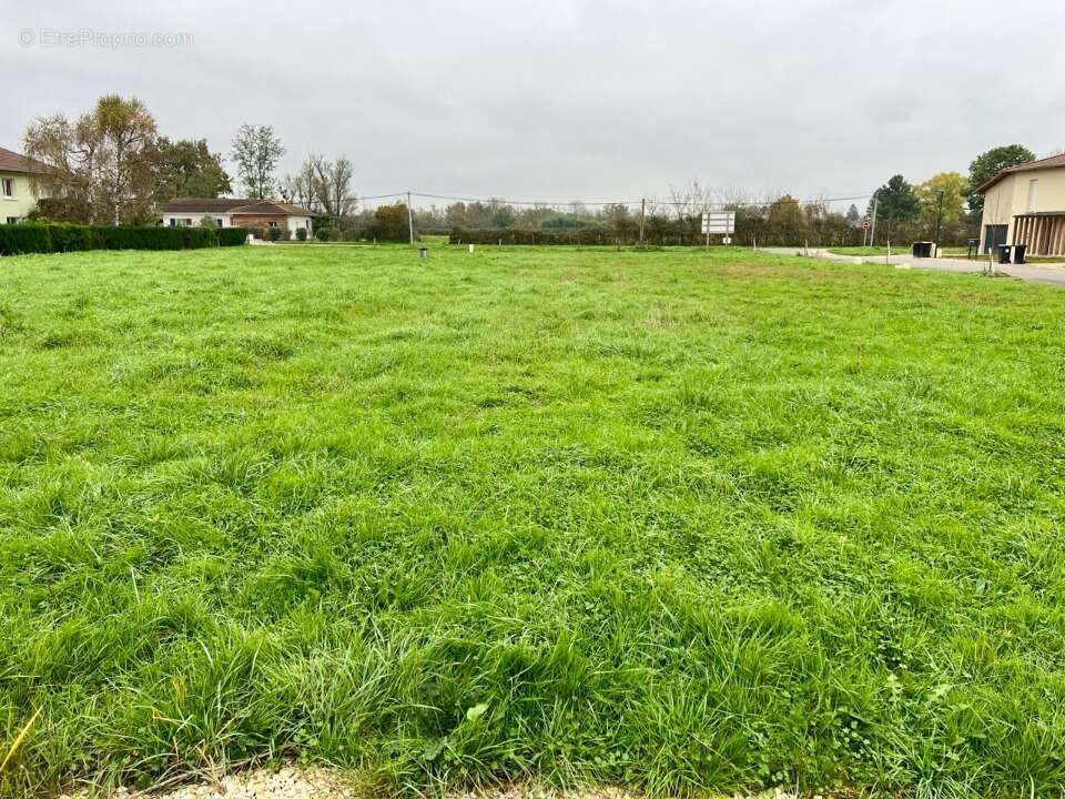 Terrain à CRAS-SUR-REYSSOUZE