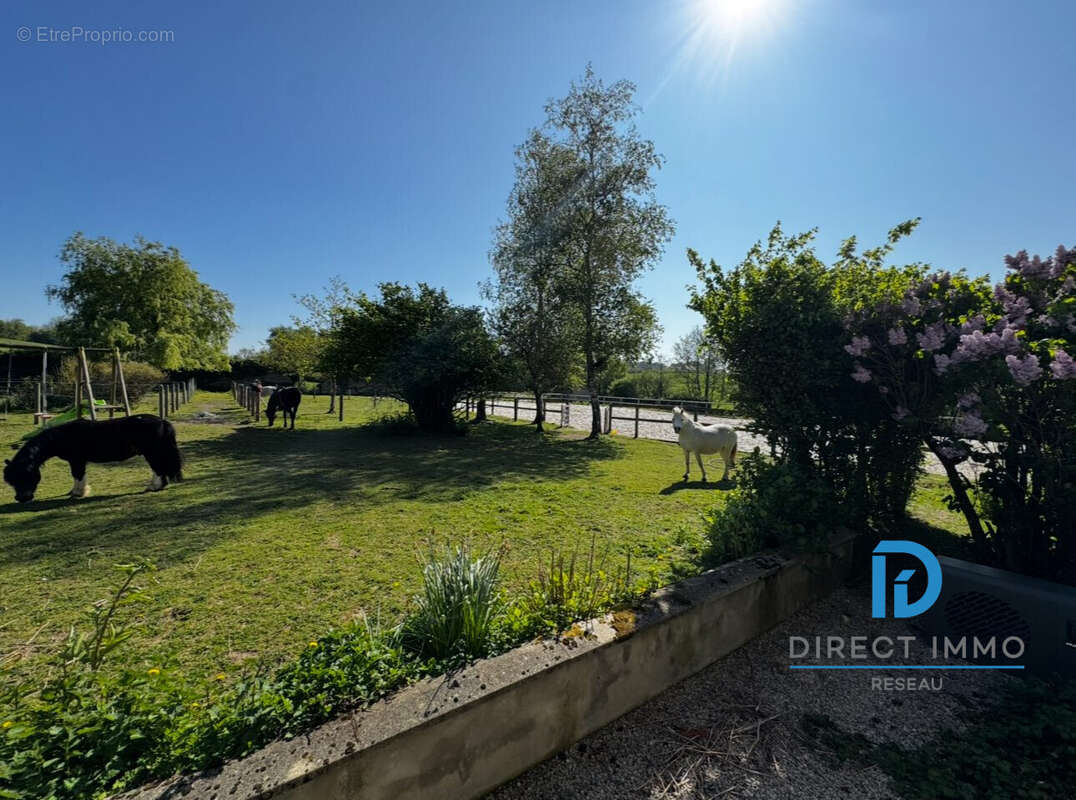 vue à partir du salon - Maison à HESDIN-L&#039;ABBE