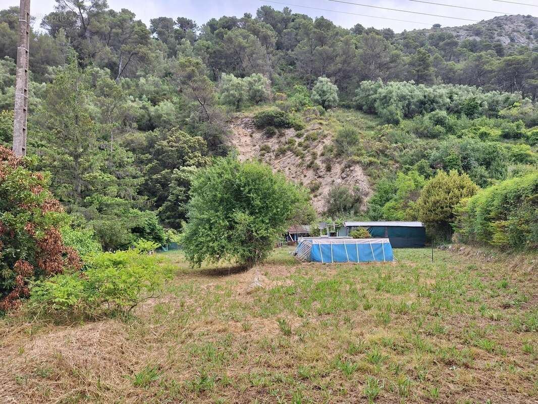 Terrain à LA TRINITE