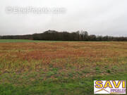 Terrain à LA SELLE-SUR-LE-BIED