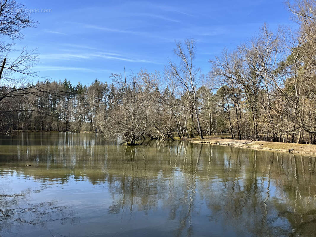 Maison à SURY-AUX-BOIS