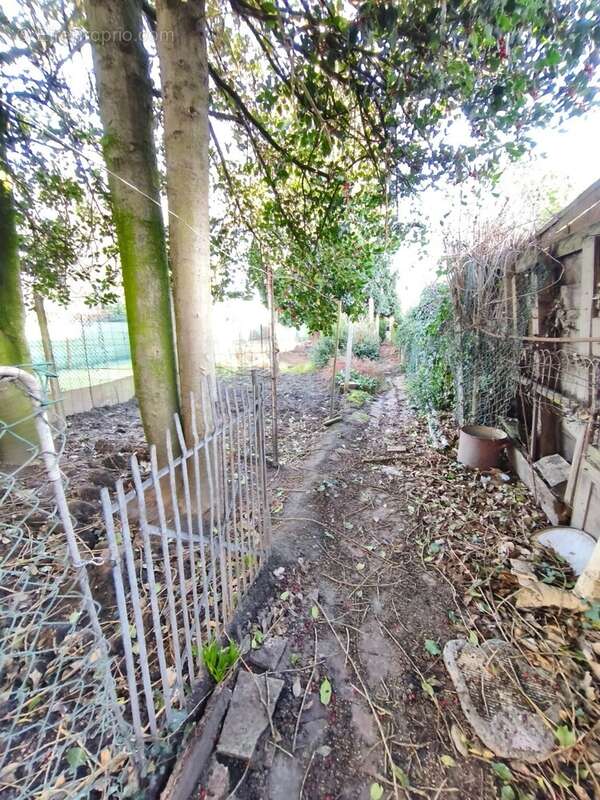jardin - Maison à MONTIGNY-EN-GOHELLE