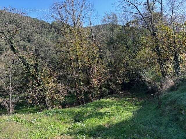 Maison à LES SALLES-DU-GARDON