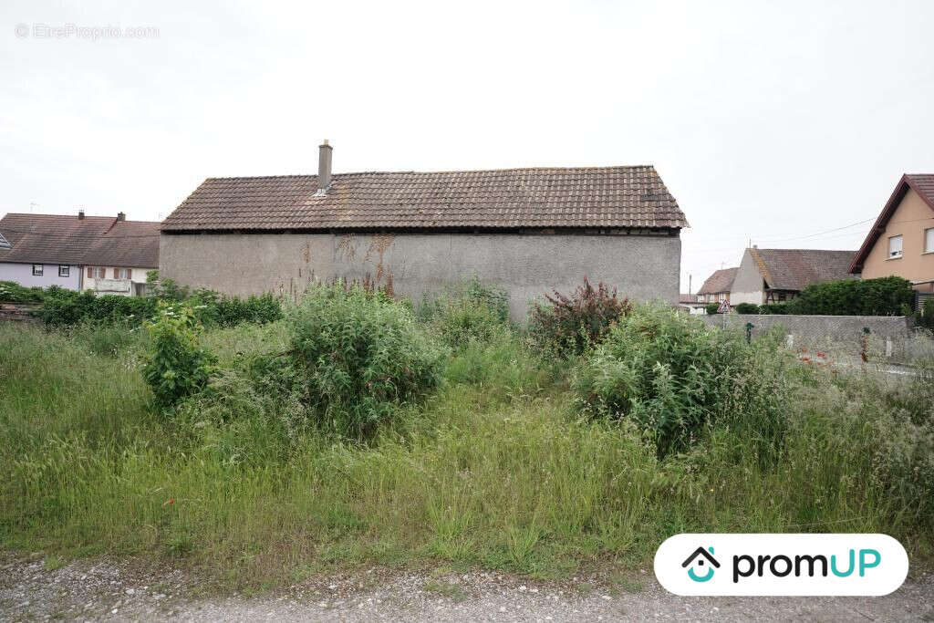 Terrain à HIRTZFELDEN