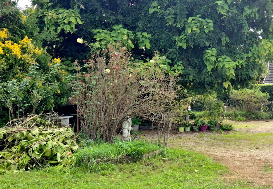 Maison à BRAGNY-SUR-SAONE