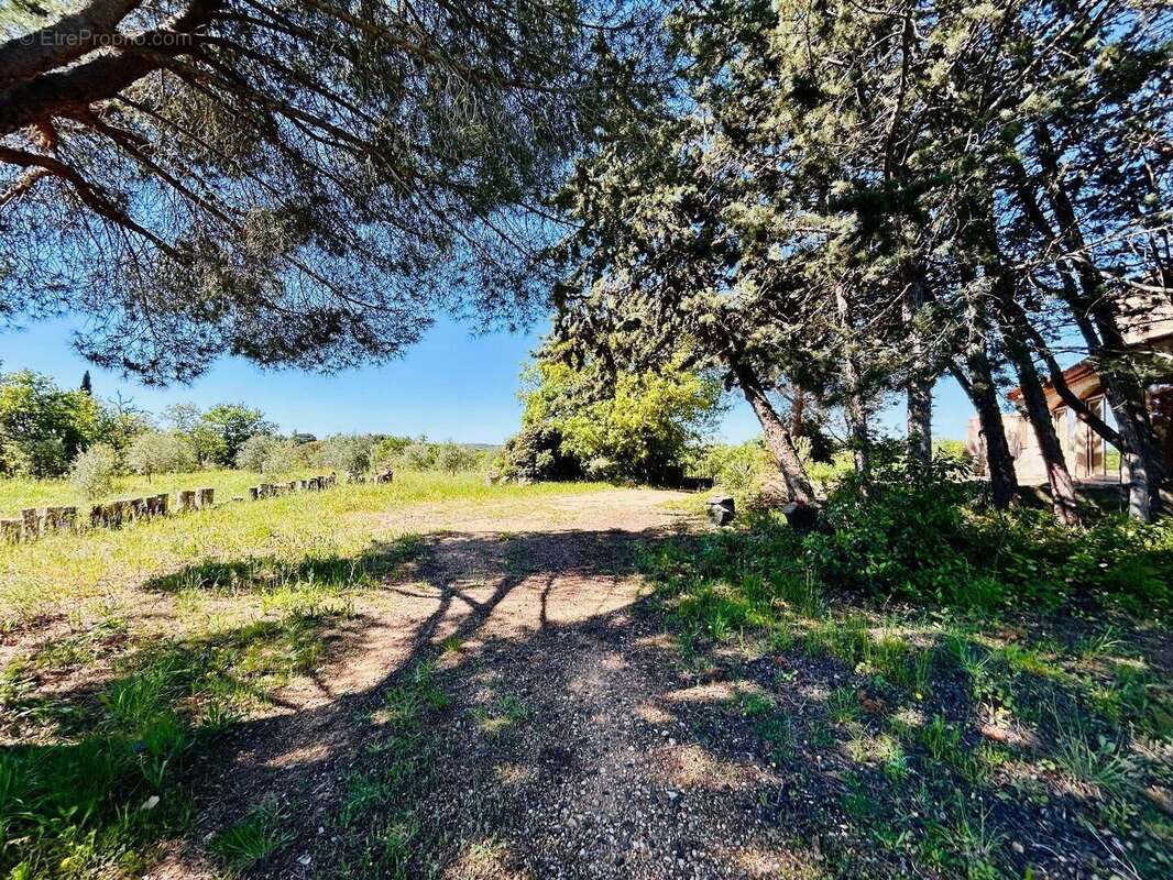 Photo 6 - Maison à PEZENAS