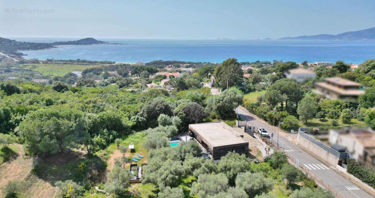 Maison à PIETROSELLA