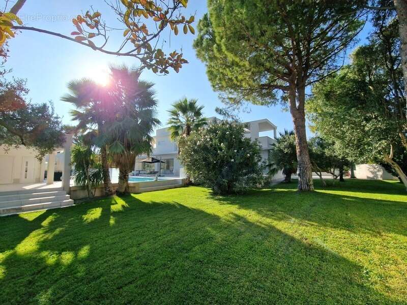 Maison à MONTPELLIER