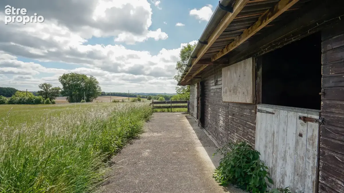 Propriété équestre de caractère avec 5 hectares, piscine couverte et dépendances - photo 27