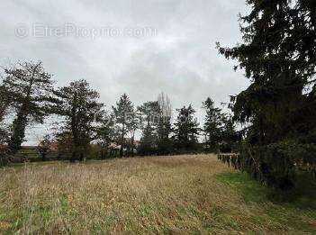 Terrain à CHAMPCUEIL