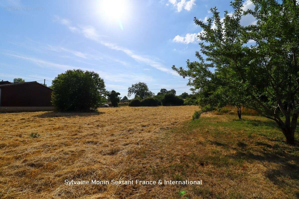 Terrain à CORGNAC-SUR-L'ISLE