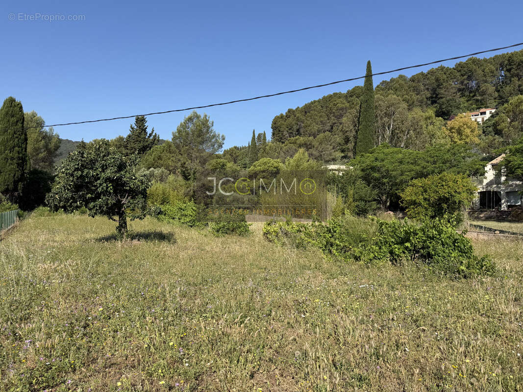 SOLLIES-PONT   Secteur BANCAOUS   Terrain constructible en exclusivité ! - photo 3