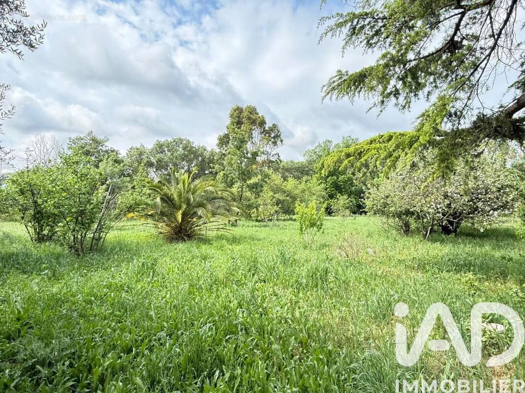 Photo 5 - Maison à LA CRAU