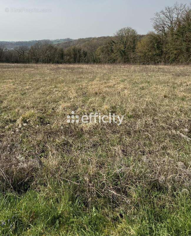 Terrain à bâtir - photo 9