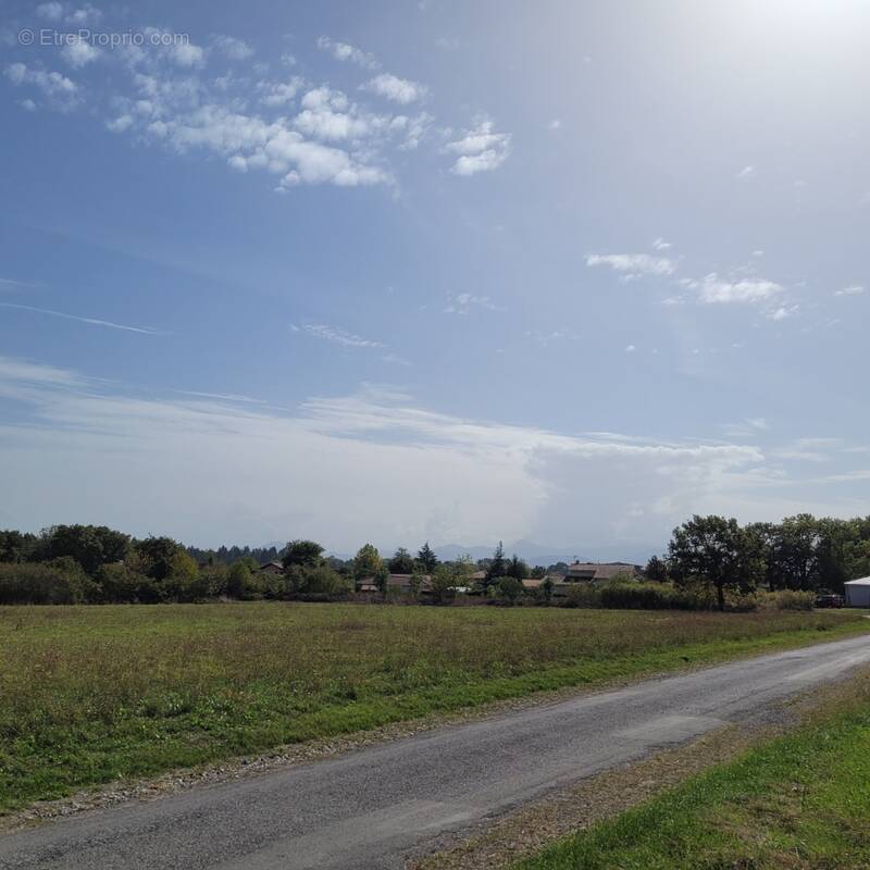 Terrain à LANNEMEZAN