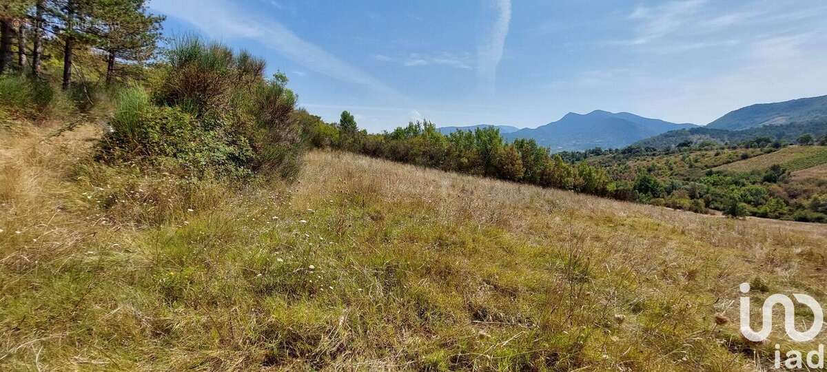 Photo 2 - Terrain à CONDORCET