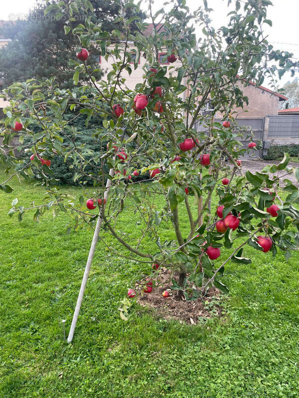 Maison à XERMAMENIL