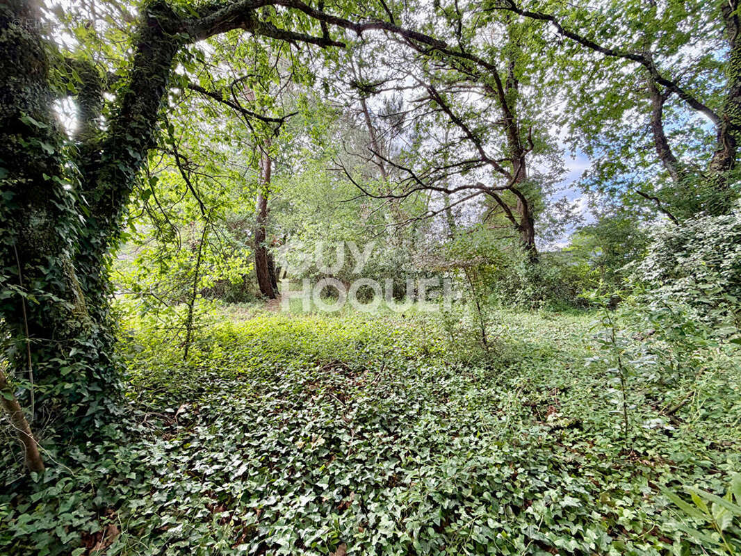 Terrain à LE TEICH