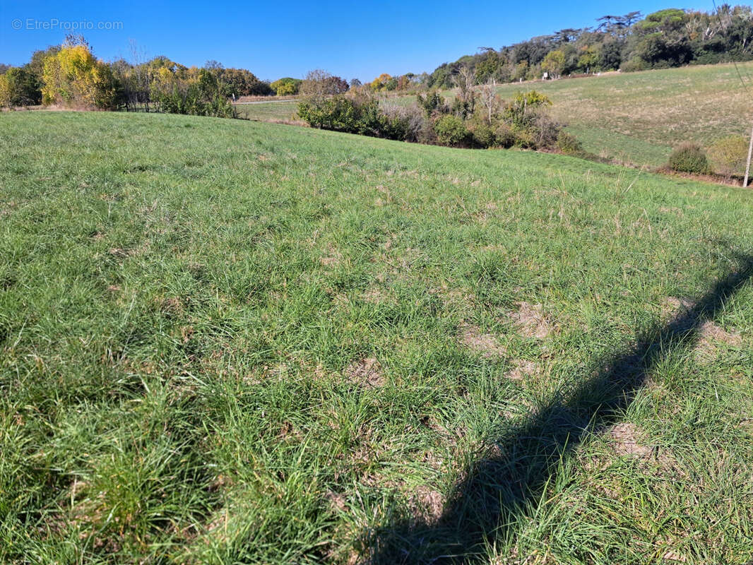 Terrain à AUCH