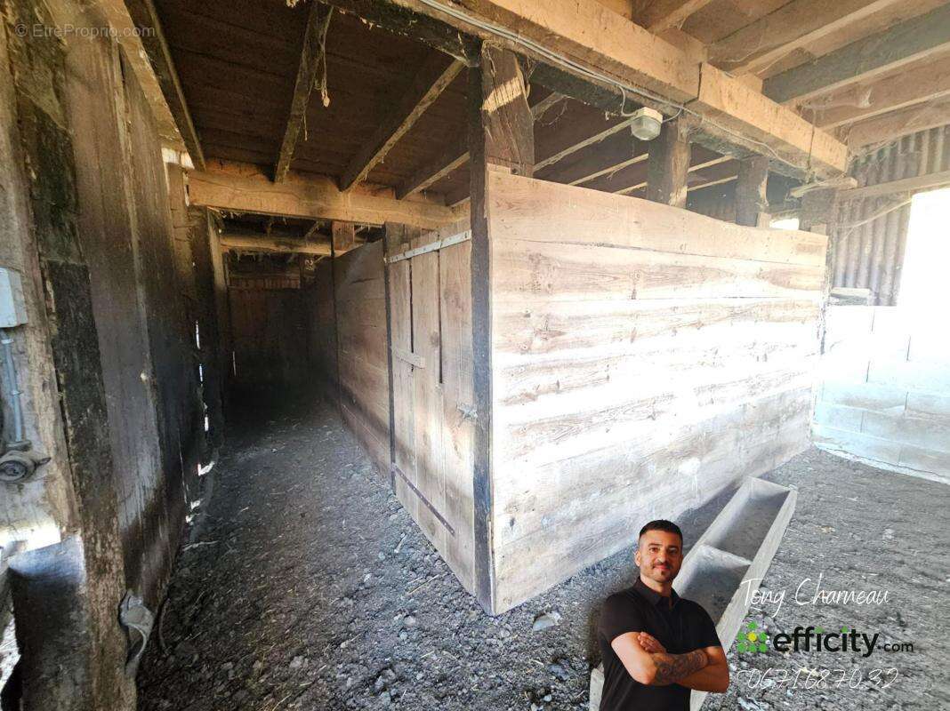 Terrain à SAINT-CALAIS