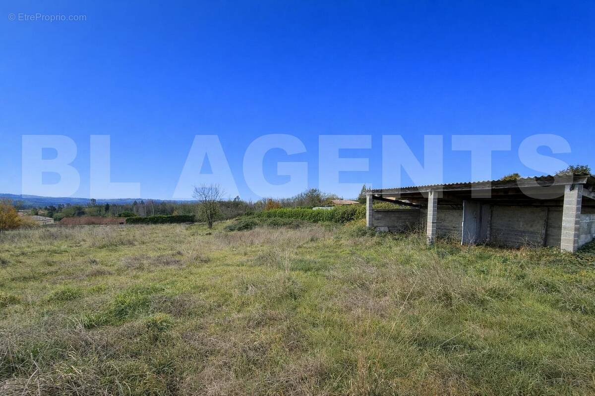 9B5D3878-6C0A-4203-8259-F0B77F4A6C8A - Terrain à MONTECH