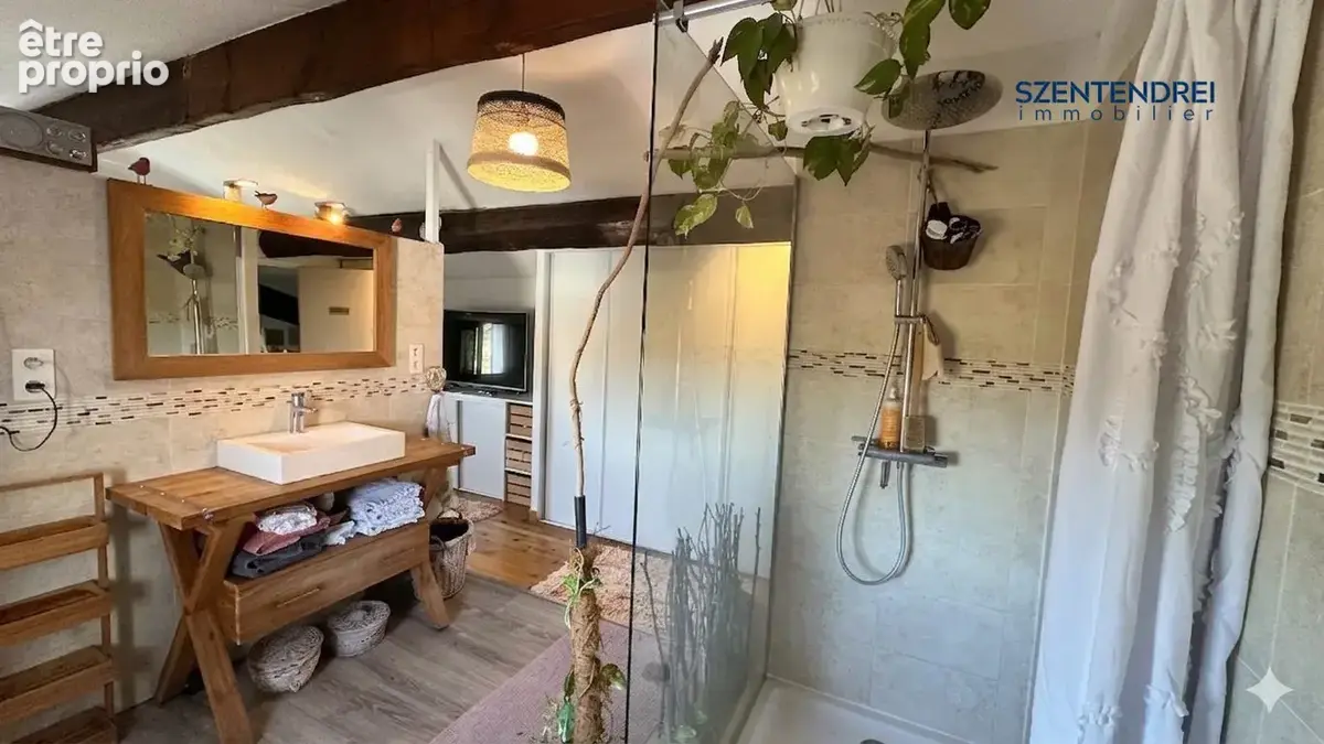 Szentendrei Immobilier - maison + dépendance - LUNEL - Grand terrain 