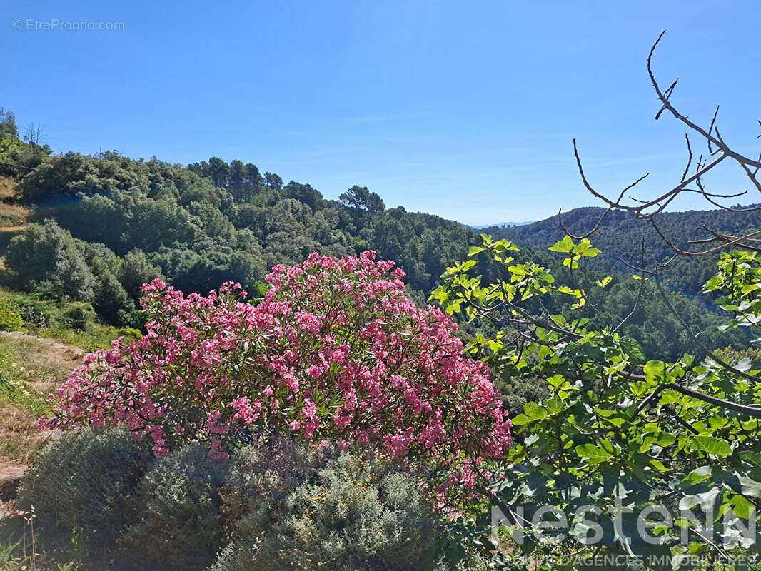 Maison 6 pièces à vendre à Saint Martin de Boubaux - Hameau Calme avec vue magnifique - photo 16