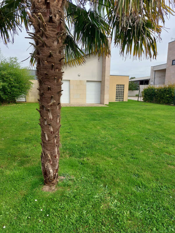 Maison à CRIQUETOT-L&#039;ESNEVAL