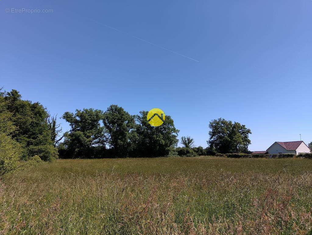 Terrain à LURCY-LEVIS