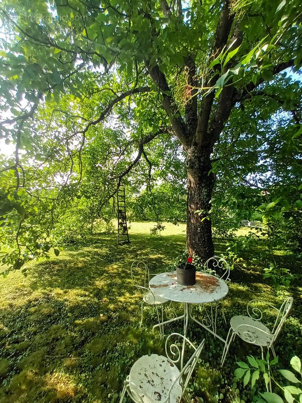 Maison à VEYRINS-THUELLIN