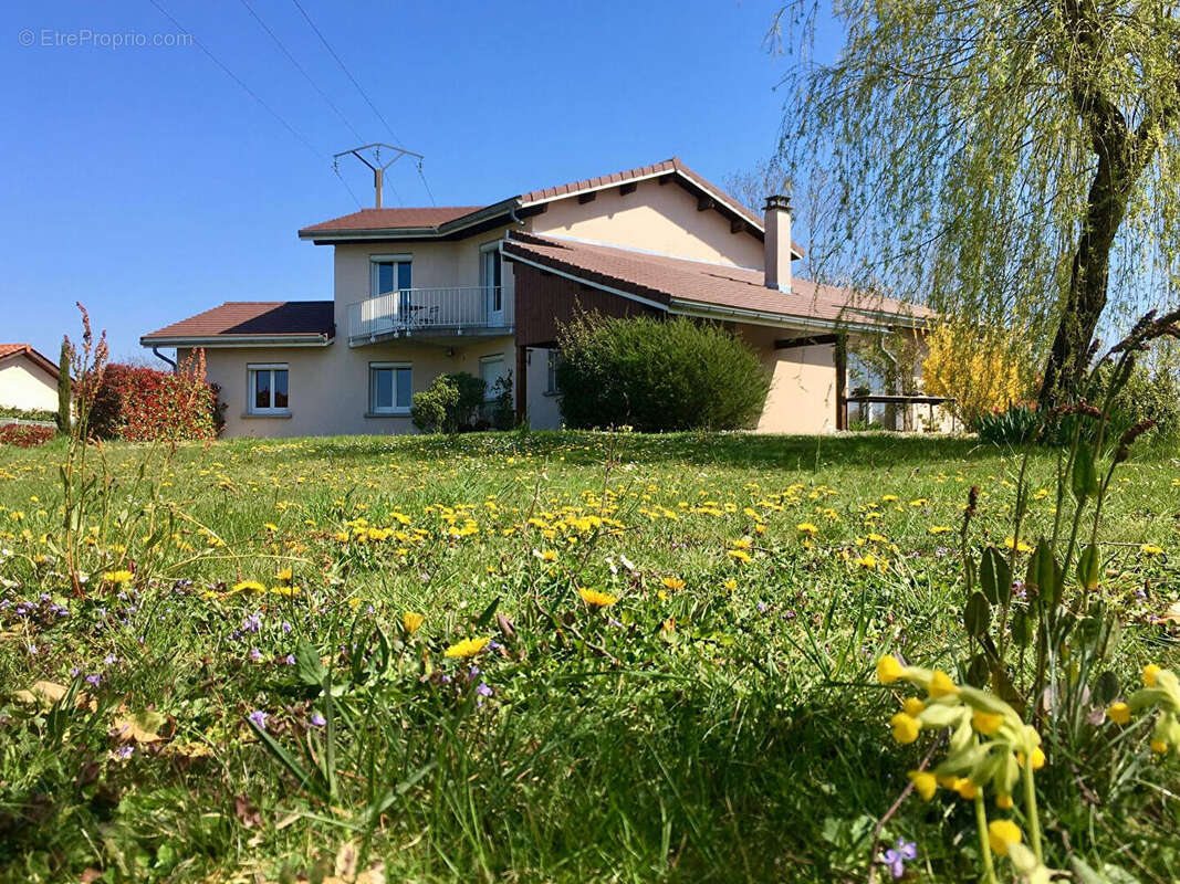 Maison 185m² à château-gaillard - photo 2