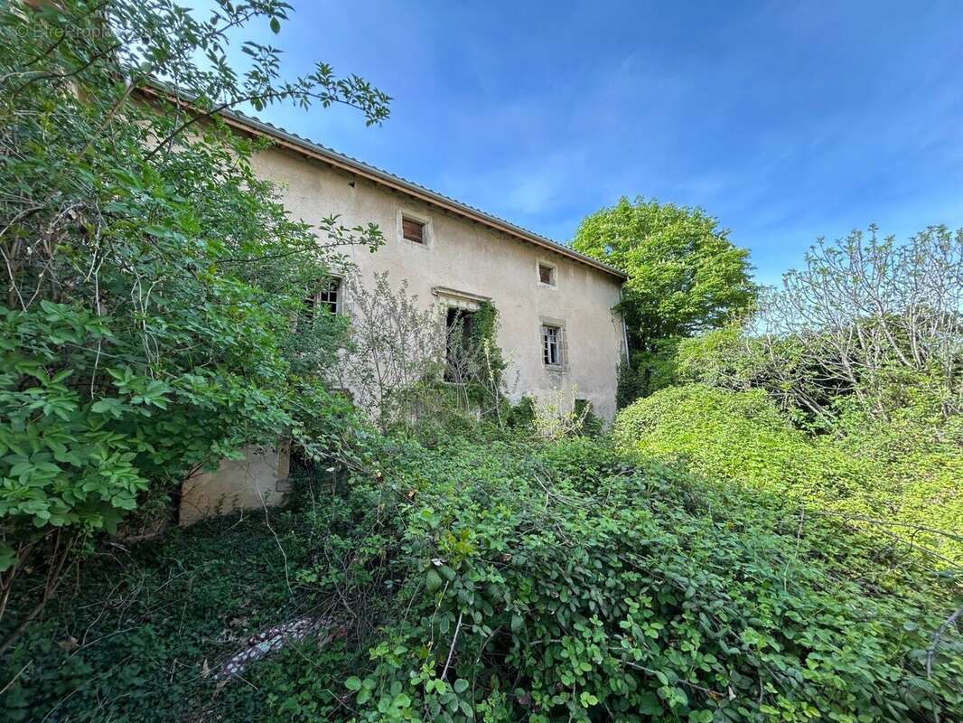 Maison 375 m² à Besayes  - photo 5