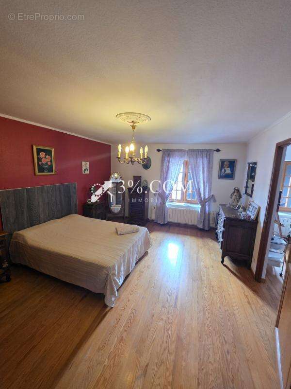Spacieuse Maison Familiale de 340 m2 à Damelevieres (54360) - photo 23
